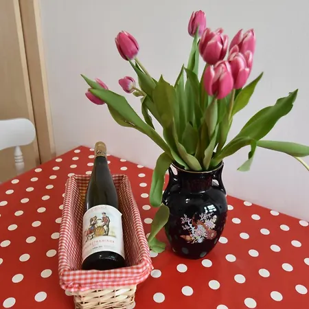 Elegant Holiday In Louis With Garden Hébergement de vacances Saint-Louis (Moselle)